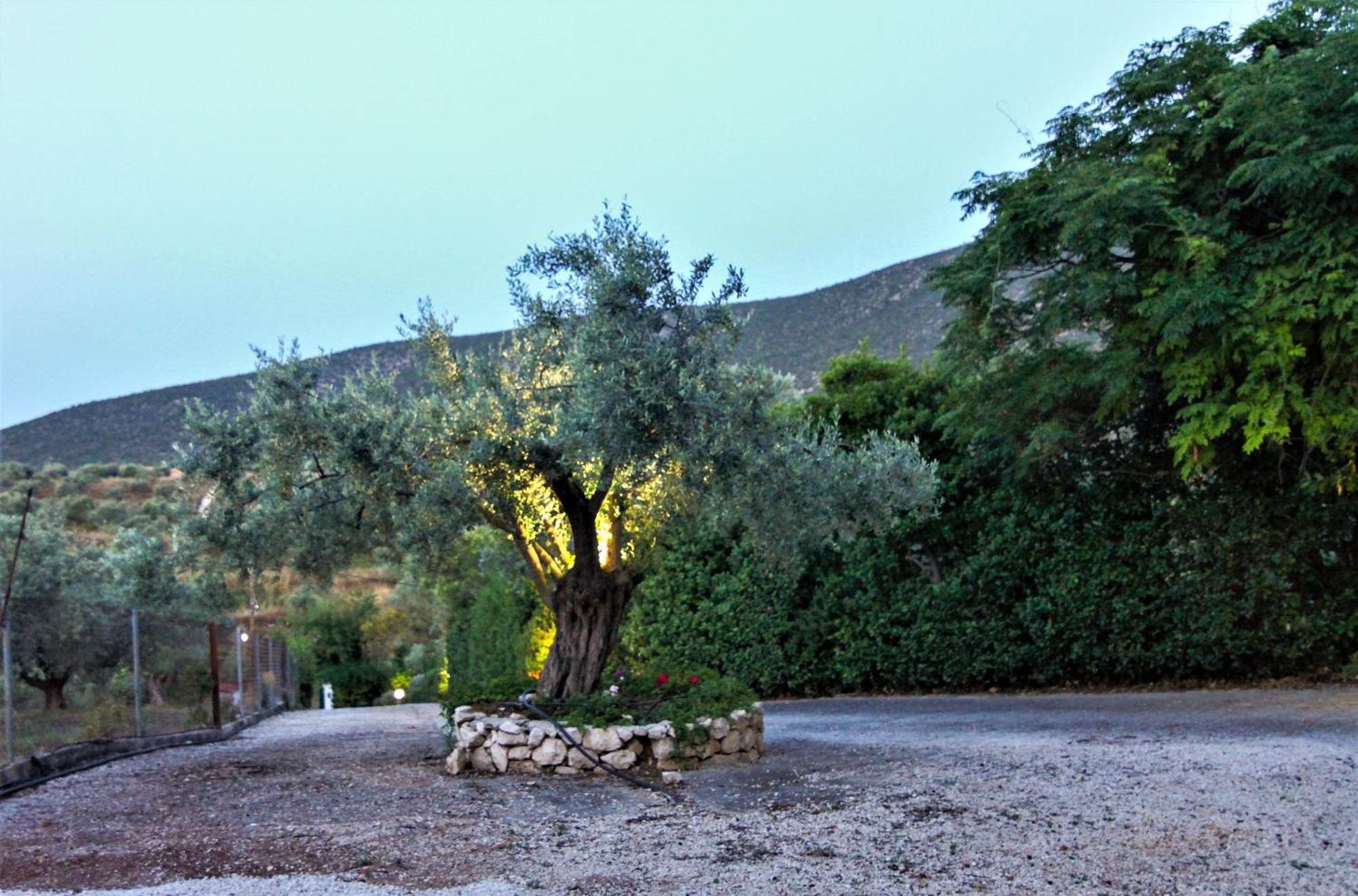 Villa Korina Metochi  Exterior foto
